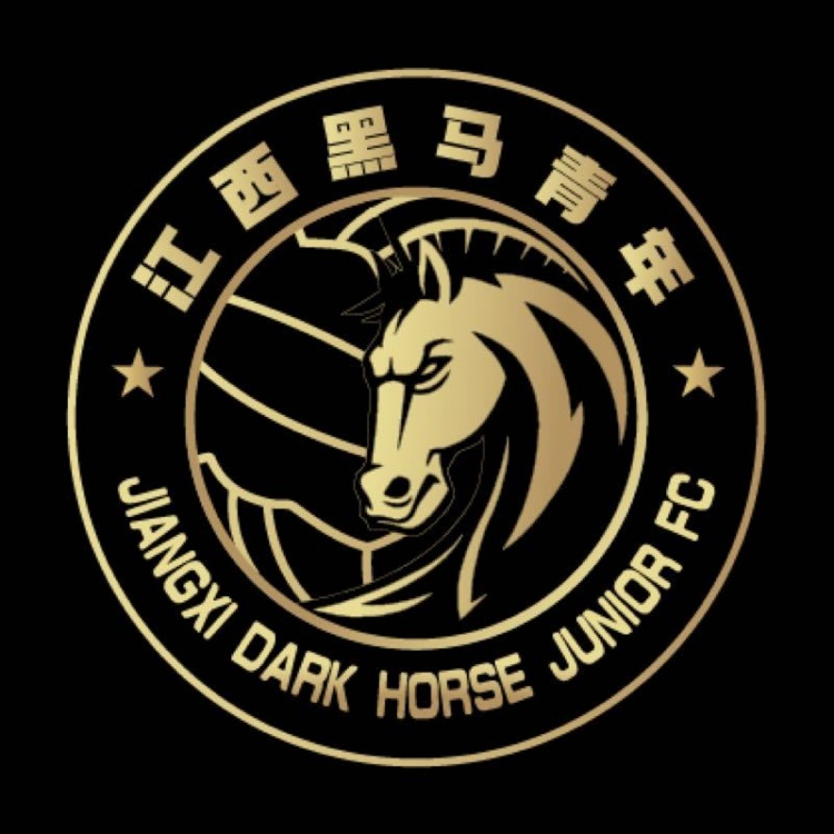 官方:江西黑馬青年完成異地遷移程序,更名為溫州職業(yè)足球俱樂(lè)部